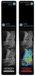 ��������� �������� �� ������� ��� "������� ����" � �����-������������ ��� �������� Image Processing Systems